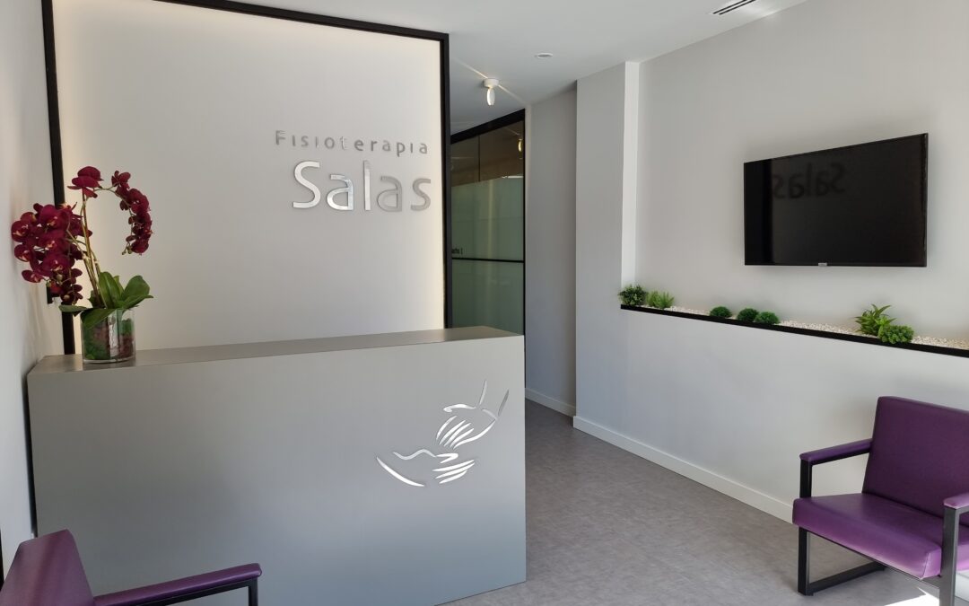 Fisioterapia Salas