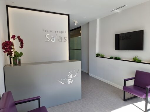 Fisioterapia Salas